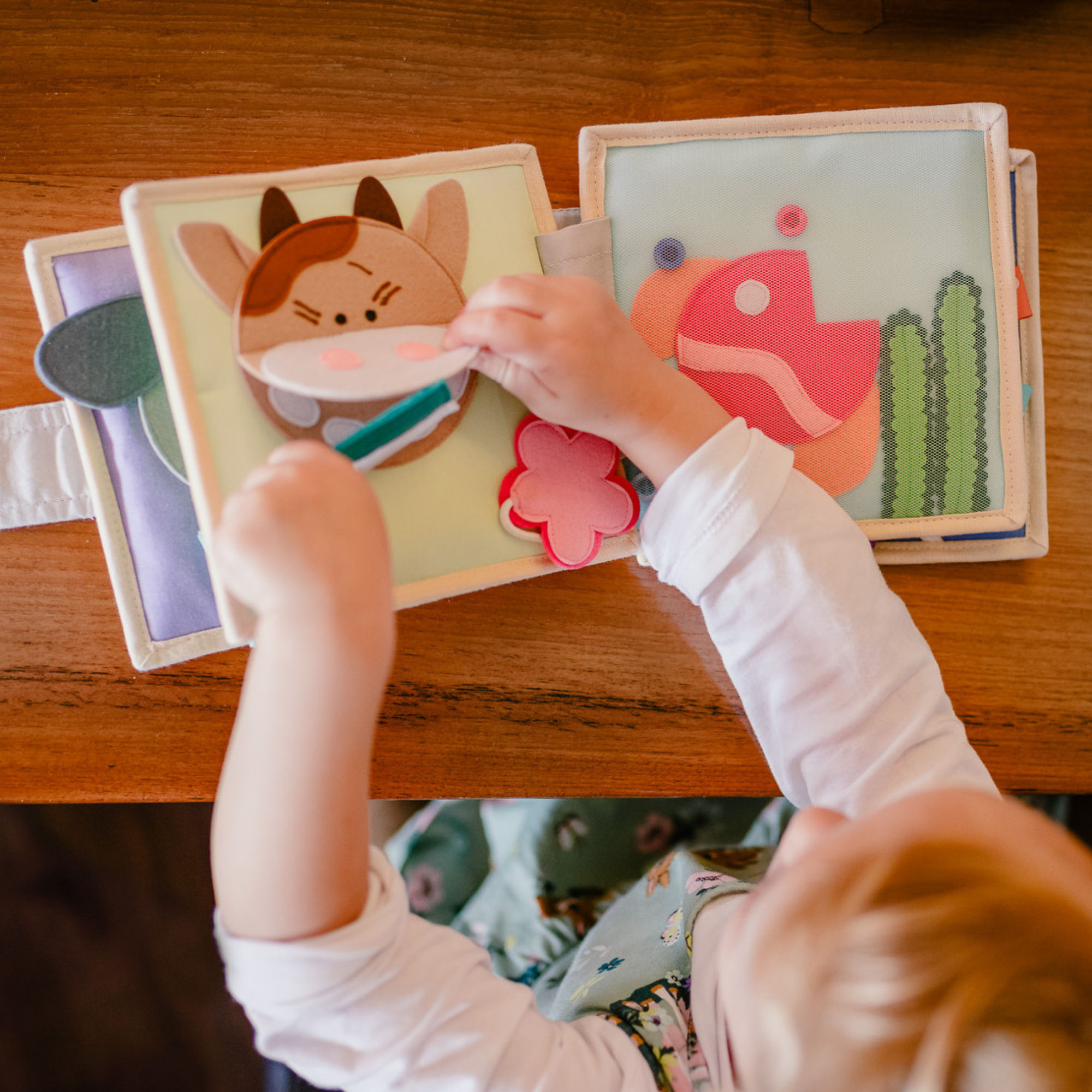 L’oiseau magique rencontre le soleil
